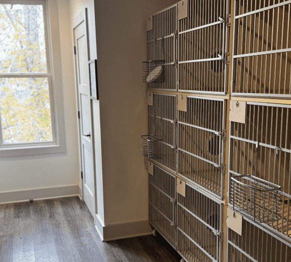 CCF-Boarding-Gallery-15