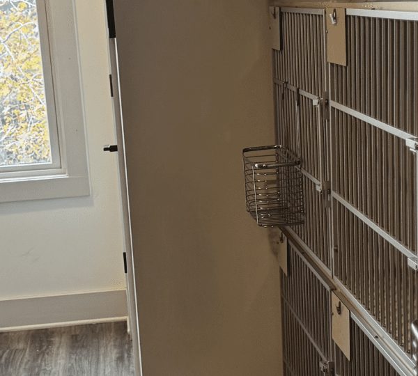 CCF-Boarding-Gallery-16