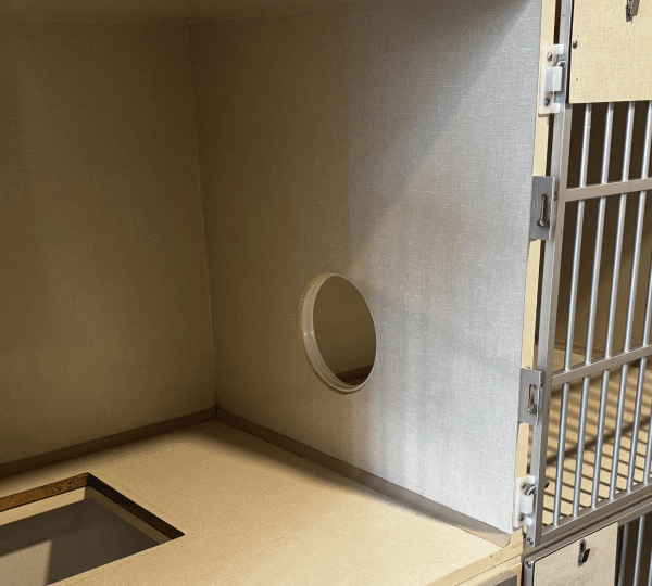 CCF-Boarding-Gallery-17