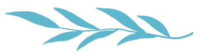 Teal botanical leaf divider used as a decorative design element 